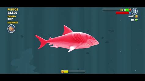 hungry shark evolution jugar.
